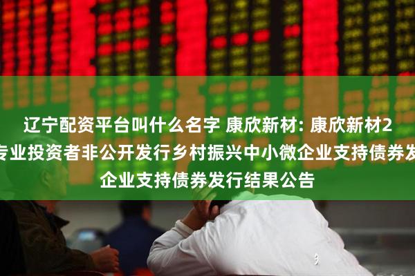 辽宁配资平台叫什么名字 康欣新材: 康欣新材2025年面向专业投资者非公开发行乡村振兴中小微企业支持债券发行结果公告