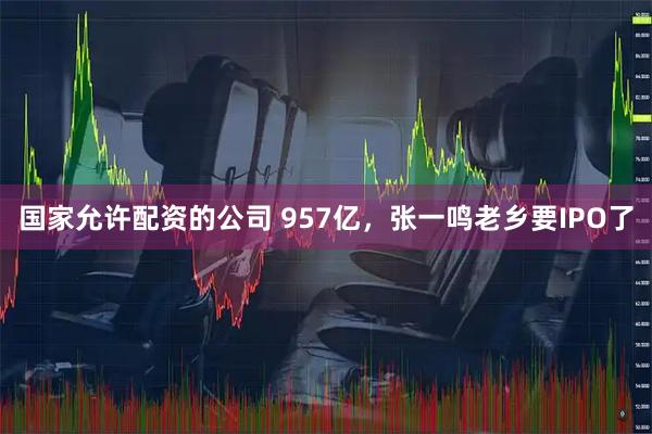国家允许配资的公司 957亿，张一鸣老乡要IPO了